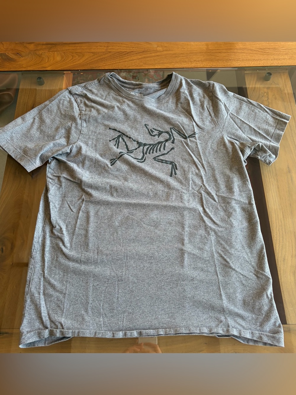Arc'teryx Cotton T-Shirt